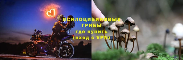 2c-b Беломорск
