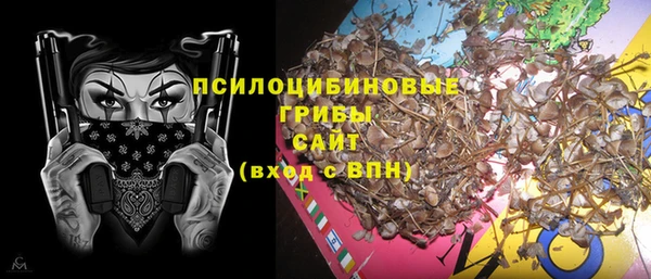 спайс Белокуриха