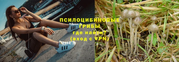 спайс Белокуриха